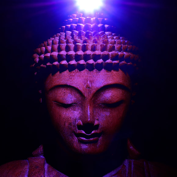 13 Ways to Activate your Crown Chakra.