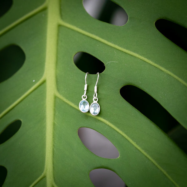 Oval Cut Blue Topaz Earrings