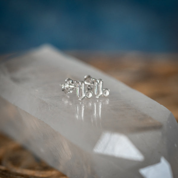 Capricorn Zodiac Studs