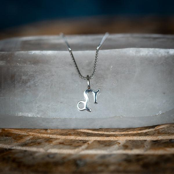 Capricorn Zodiac Necklace