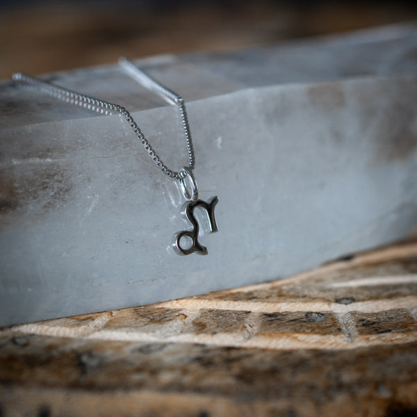 Capricorn Zodiac Necklace