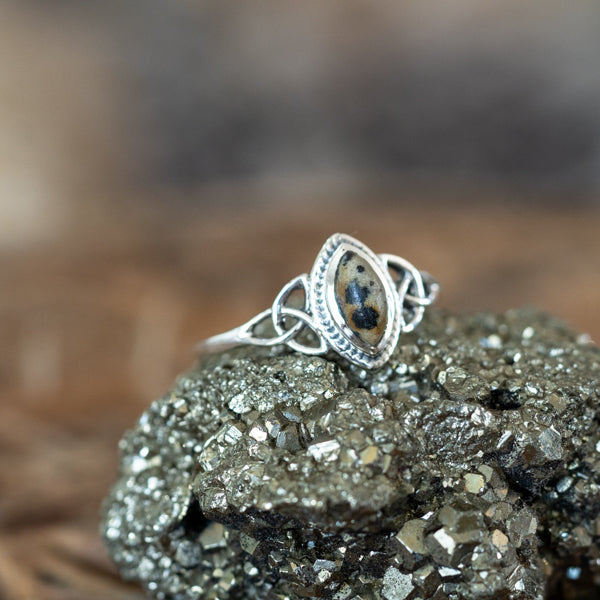 Celtic Dalmation Jasper Ring