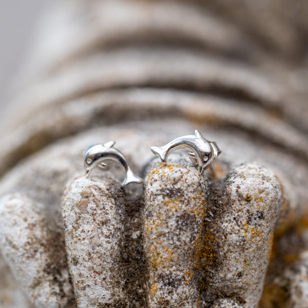 Dolphin Studs