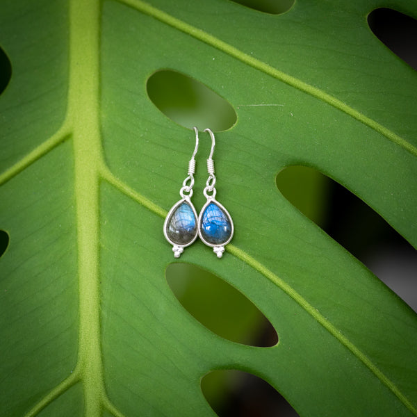 Dangle Labradorite Earrings