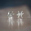 Pisces Zodiac Studs