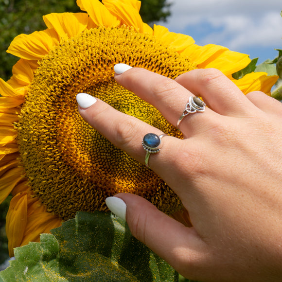 Celtic Dalmation Jasper Ring