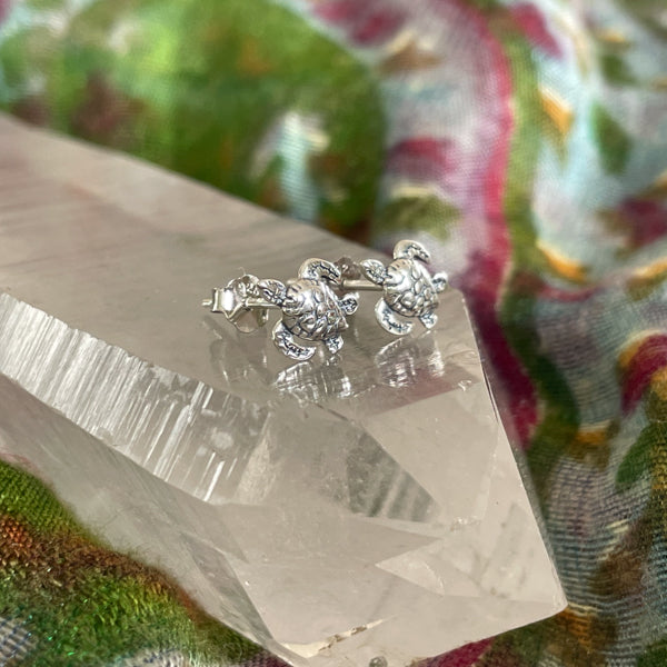 Sea Turtle Studs