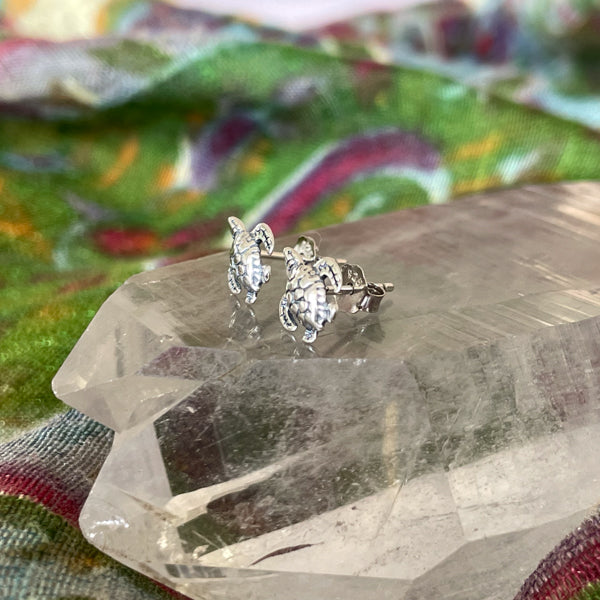 Sea Turtle Studs
