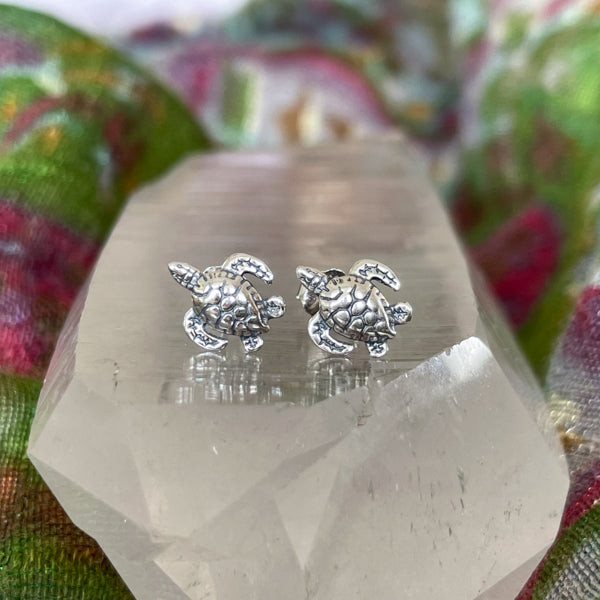 Sea Turtle Studs