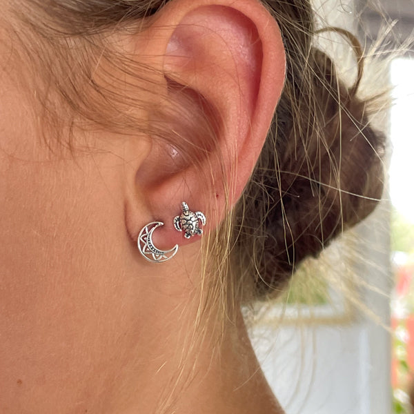 Sea Turtle Studs