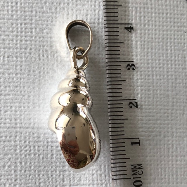 Seashell Pendant