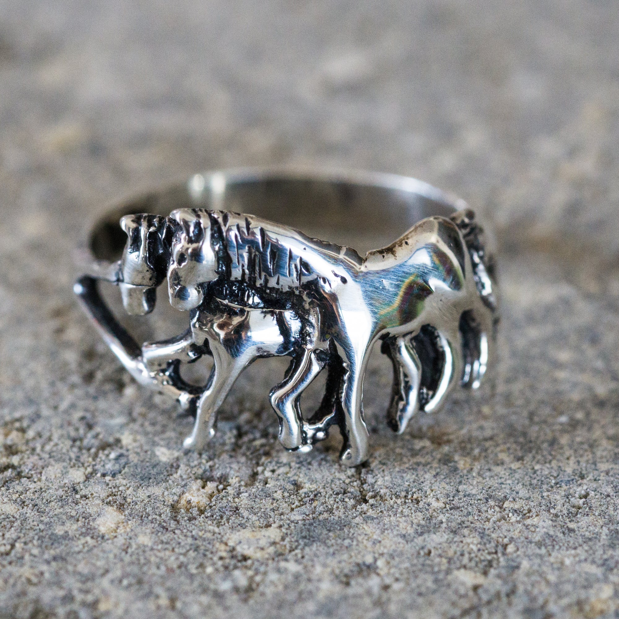 Horse Lovers Ring