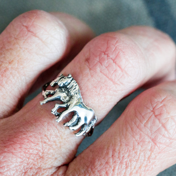 Horse Lovers Ring