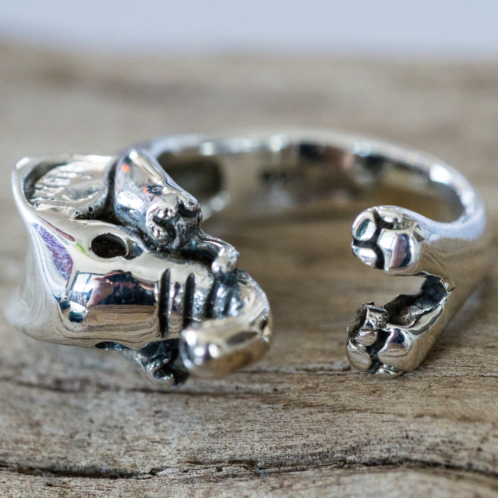 Elephant Ring