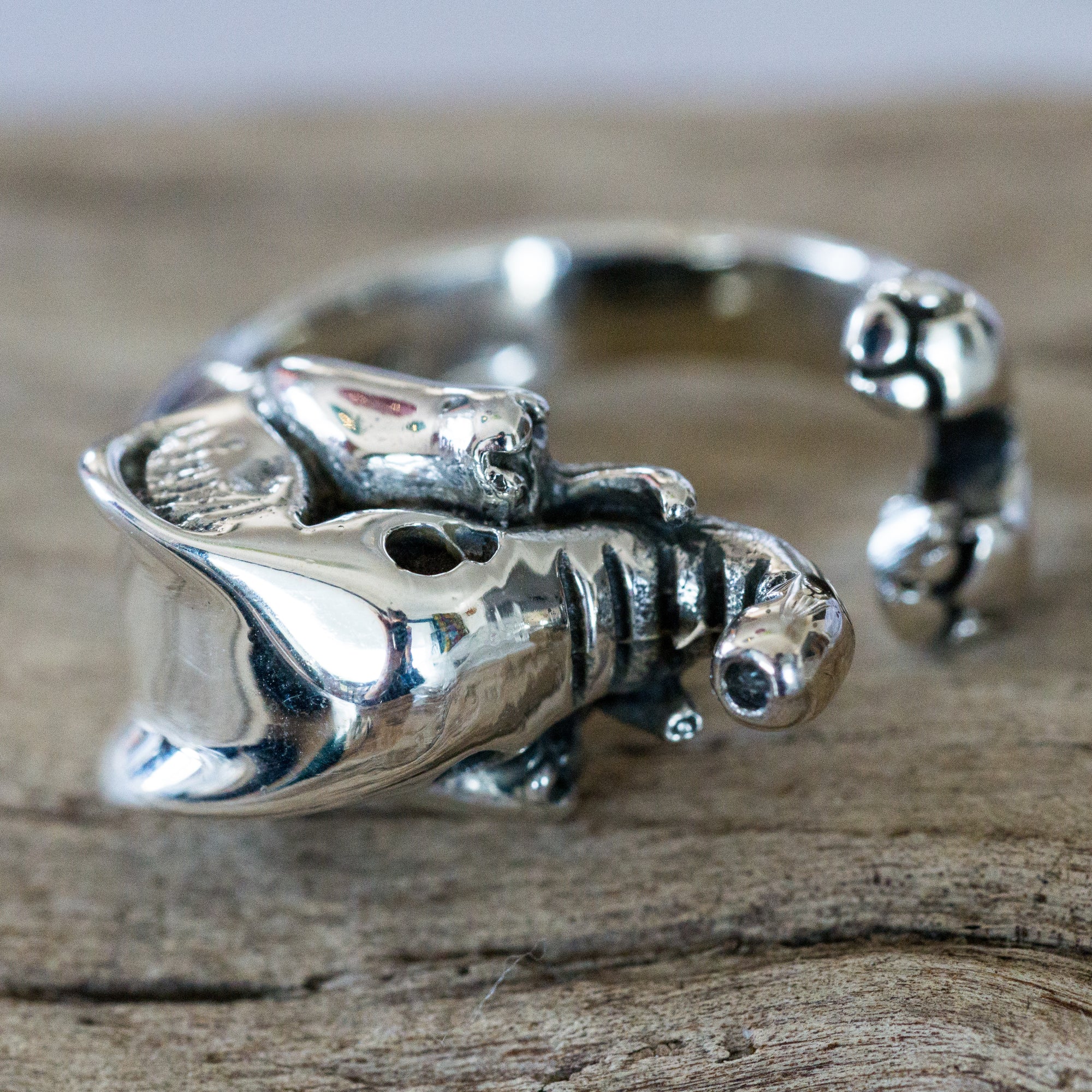 Elephant Ring