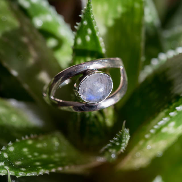Salena Moonstone Ring